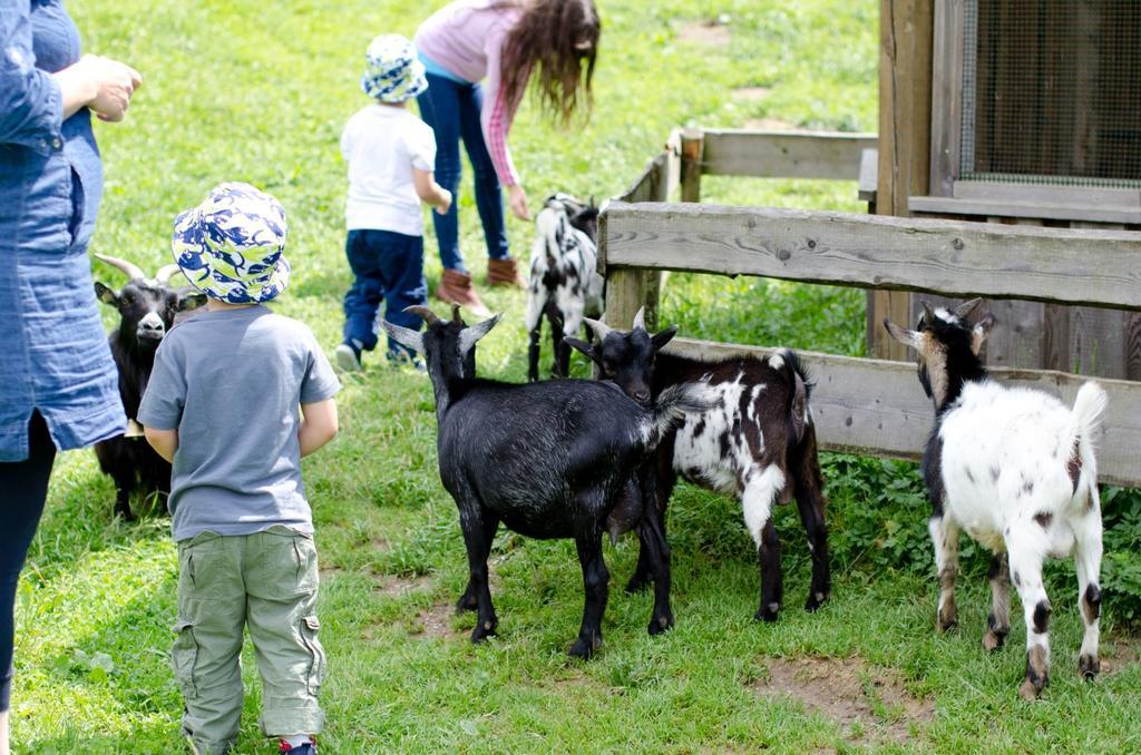 Kinderhotel Appelhof Mürzsteg المظهر الخارجي الصورة