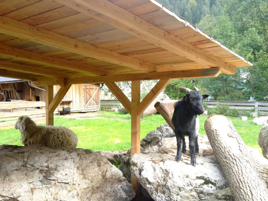 Kinderhotel Appelhof Mürzsteg المظهر الخارجي الصورة
