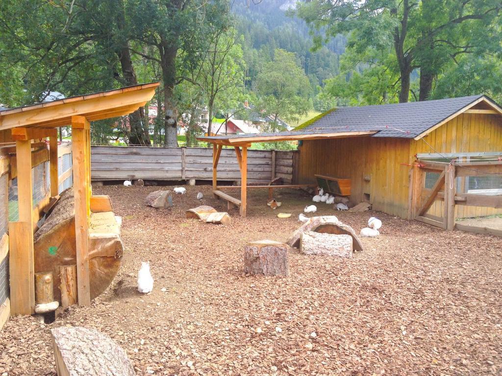 Kinderhotel Appelhof Mürzsteg المظهر الخارجي الصورة