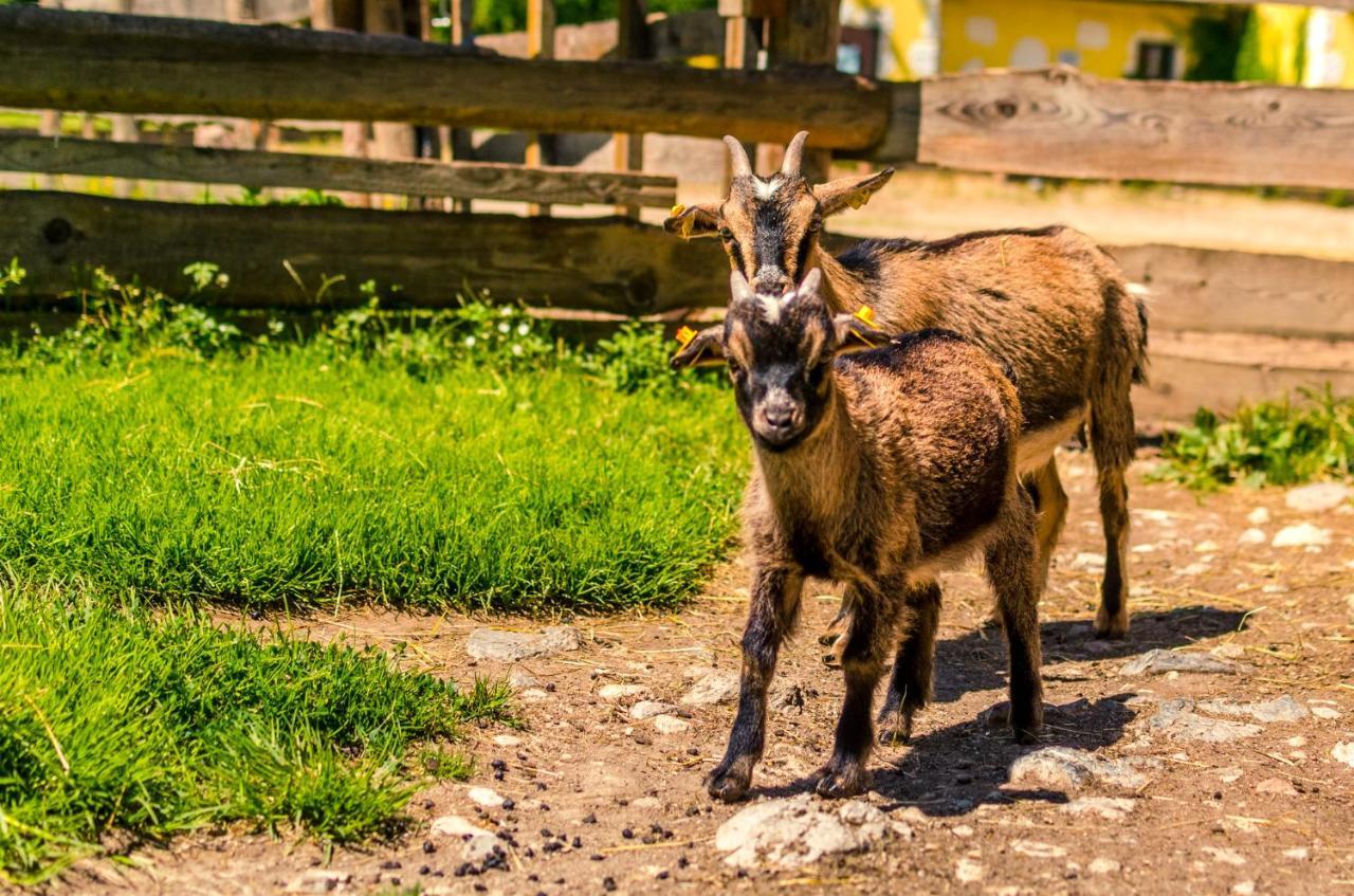 Kinderhotel Appelhof Mürzsteg المظهر الخارجي الصورة