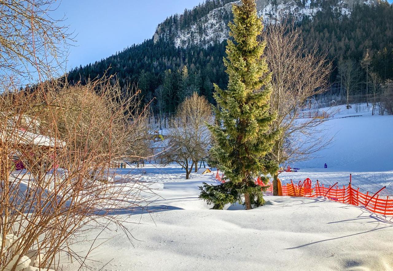 Kinderhotel Appelhof Mürzsteg المظهر الخارجي الصورة