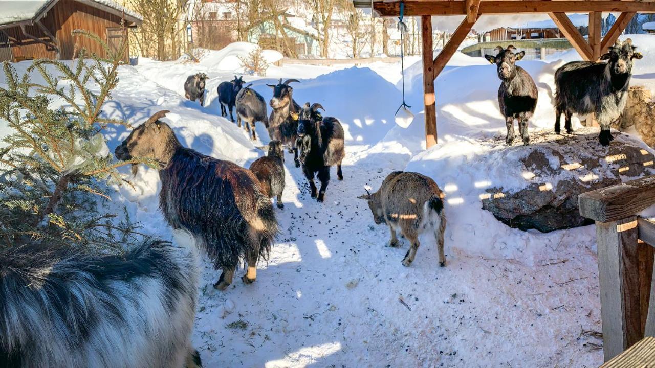 Kinderhotel Appelhof Mürzsteg المظهر الخارجي الصورة