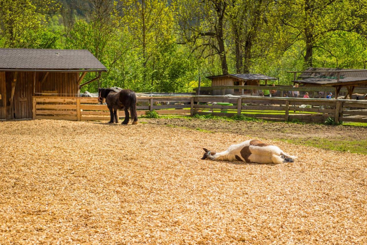 Kinderhotel Appelhof Mürzsteg المظهر الخارجي الصورة