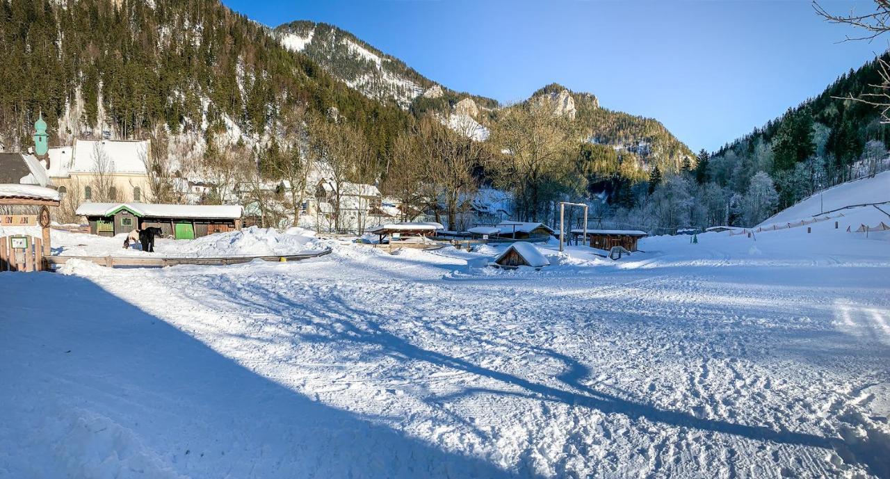 Kinderhotel Appelhof Mürzsteg المظهر الخارجي الصورة
