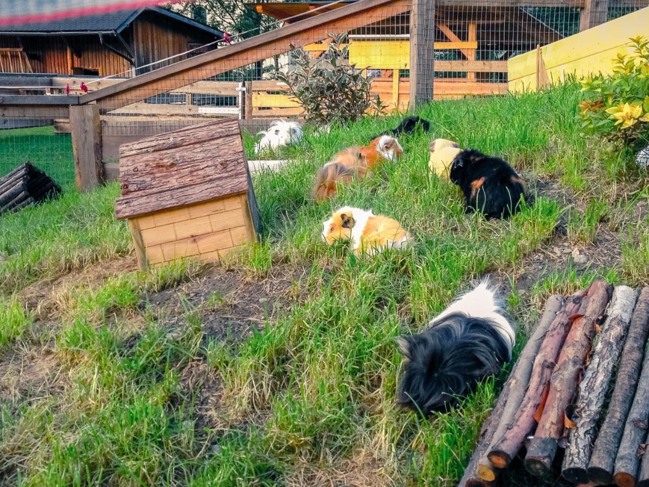 Kinderhotel Appelhof Mürzsteg المظهر الخارجي الصورة